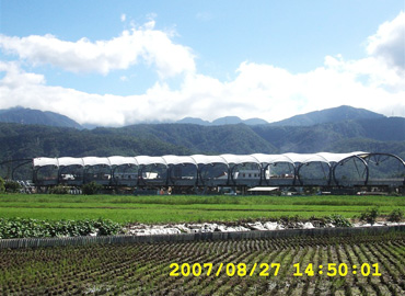高速路收費(fèi)站膜結(jié)構(gòu)遮陽(yáng)棚